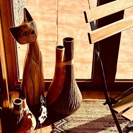 Mi فيلة بلايا بلانكا